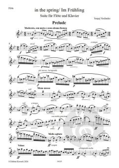 Im Frühling von Sergei Wassilenko 