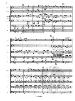 Concerto in D für Streichorchester (Basler Konzert) von Igor Strawinsky im Alle Noten Shop kaufen