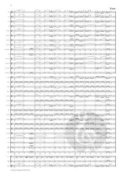 Fürst Karol Marsch op. 195 von Carl Michael Ziehrer 