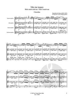 SaxoPhonPower Vol. 28: Não me toques - Chorinho von Zequinha de Abreu 