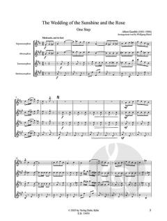 SaxoPhonPower Vol. 30: The Wedding of the Sunshine and The Rose - One Step von Albert Gumble 