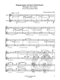 Begegnungen auf dem Möbiusband von Dorothea Hofmann 