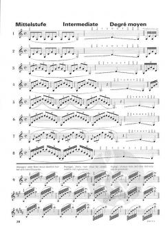 ASA: Atmung Stütze Ansatz - Methode von Rolf Quinque (Download) 