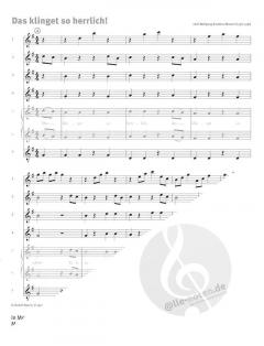 Querflöte spielen und lernen Band 2 von Barbara Metzger im Alle Noten Shop kaufen