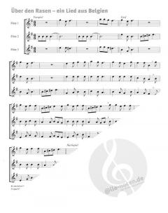 Querflöte spielen und lernen Band 2 von Barbara Metzger im Alle Noten Shop kaufen