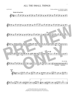 All The Small Things von Blink 182 (Download) 