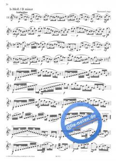 Etüden der Romantik in allen Tonarten 