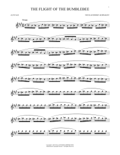 The Flight Of The Bumble Bee (Download) 