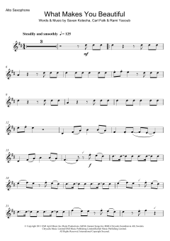 What Makes You Beautiful von One Direction (Download) 