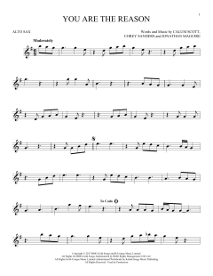 You Are The Reason von Calum Scott (Download) 