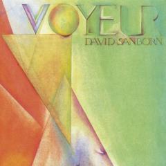 It's You von David Sanborn (Download) 
