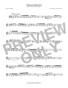 The Elephant (Download) 