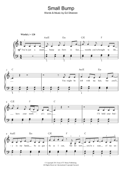 Small Bump (Download) 