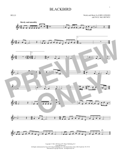 Blackbird (Download) 