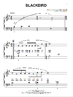 Blackbird (Download) 