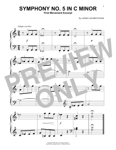 Symphony No. 5 In C Minor, First Movement Excerpt (Download) 
