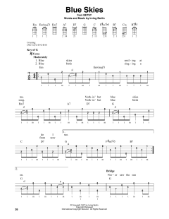 Blue Skies von Willie Nelson (Download) 