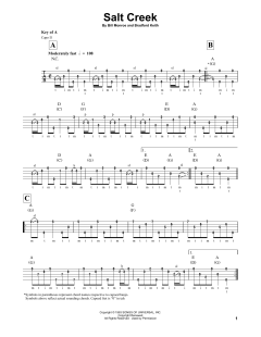 Salt Creek von Bill Monroe (Download) 