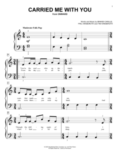 Carried Me With You von Brandi Carlile (Download) 