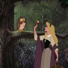 I Wonder von Winston Hibler (Download) 