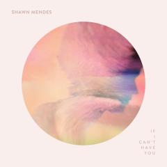 If I Can't Have You von Shawn Mendes (Download) 