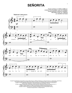 SeÃ±orita von Ben Levin (Download) 