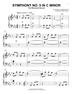 Symphony No. 5 In C Minor, First Movement Excerpt von Ludwig van Beethoven (Download) 