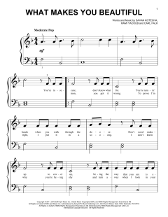 What Makes You Beautiful von One Direction (Download) 