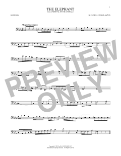 The Elephant (Download) 