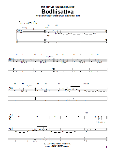 Bodhisattva von Steely Dan (Download) 