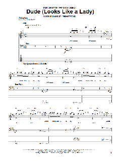 Dude von Aerosmith (Download) 