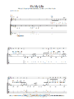 It's My Life von Bon Jovi (Download) 