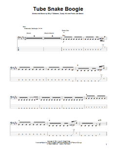 Tube Snake Boogie von Dusty Hill (Download) 