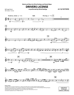 Drivers License von Olivia Rodrigo (Download) 