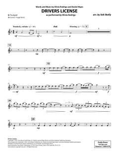 Drivers License von Olivia Rodrigo (Download) 
