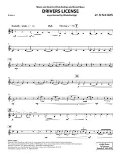 Drivers License von Olivia Rodrigo (Download) 