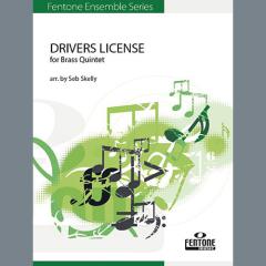 Drivers License von Olivia Rodrigo (Download) 