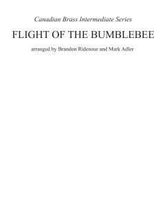 Flight Of The Bumblebee (Intermediate) von Canadian Brass Quintet (Download) 