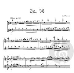 Flute Friction - Duets and Trios, Vol. 3 von Mark Tanner 