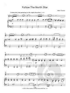 Flute Pastilles 1 von Mark Tanner 