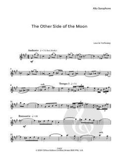 The Other Side of the Moon von Laurie Holloway 