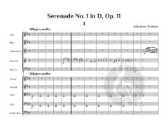 Serenade No. 1 in D, op. 11 von Johannes Brahms (Download) 