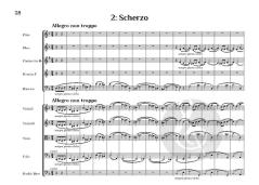 Serenade No. 1 in D, op. 11 von Johannes Brahms (Download) 