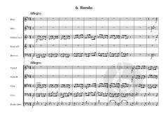 Serenade No. 1 in D, op. 11 von Johannes Brahms (Download) 