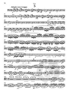 Serenade No. 1 in D, op. 11 von Johannes Brahms (Download) 