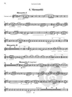 Serenade No. 1 in D, op. 11 von Johannes Brahms (Download) 