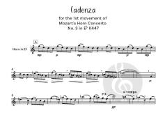 Mozart Horn Concerto Cadenzas von Wolfgang Amadeus Mozart (Download) 