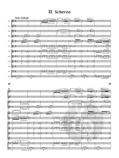 Wind Serenade op. 102 von Wilhelm Berger (Download) 