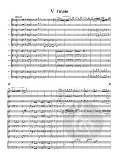 Wind Serenade op. 102 von Wilhelm Berger (Download) 