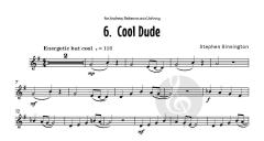 Mega Fun von Stephen Binnington (Download) 